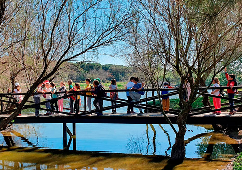 Cañada de los Pájaros